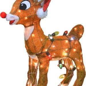 60552 24" Rudolph 3D Pre-Lit Yard Art Standing Rudolph with C9 Lights